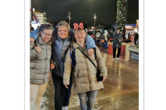 Stichting-buitenhofdss